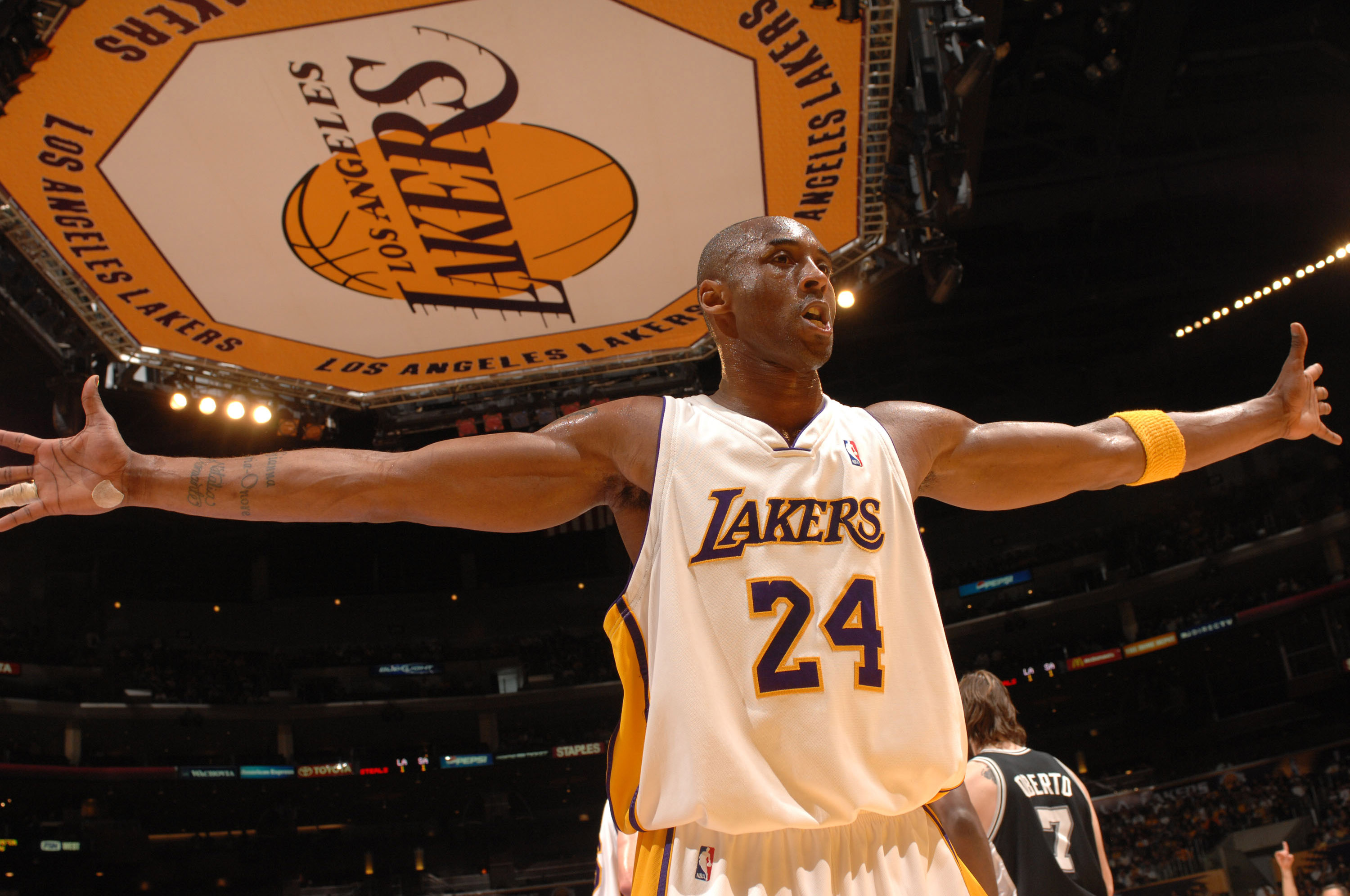 仅促进了体 仅促进了体