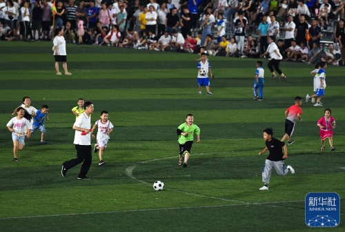 案例分析 案例分析