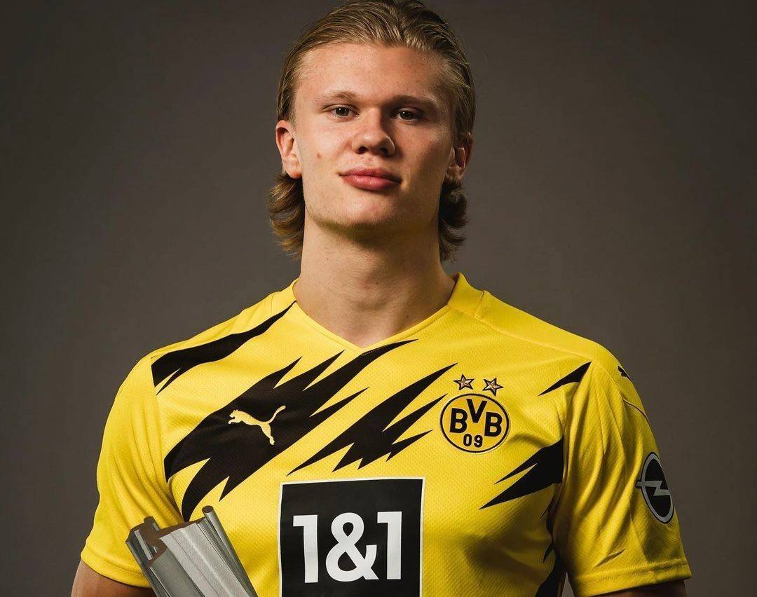 流后由伦纳 流后由伦纳